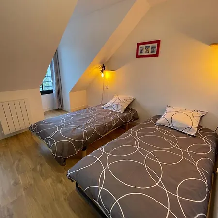 Plein Centre - Grand Duplex 2 Avec Terrasse Ensoleillee Lejlighed Auray