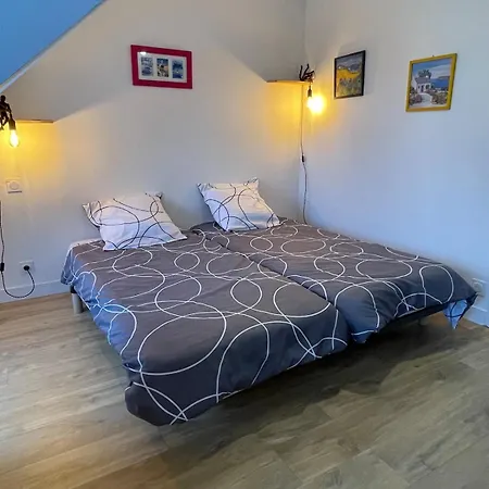 Plein Centre - Grand Duplex 2 Avec Terrasse Ensoleillee Auray