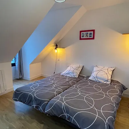 Plein Centre - Grand Duplex 2 Avec Terrasse Ensoleillee *