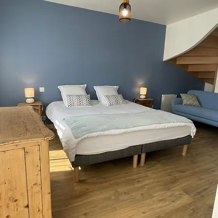 Apartment Plein Centre - Grand Duplex 2 Avec Terrasse Ensoleillee Auray